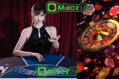 Mibox8 Live Baccarat Guide — Banker, Player, Tie Side