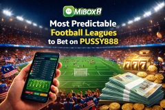 Most Stable Football Leagues on Mibox8 Sportsbook - MiBox8 Malaysia